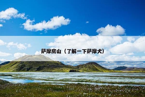 萨摩房山（了解一下萨摩犬）