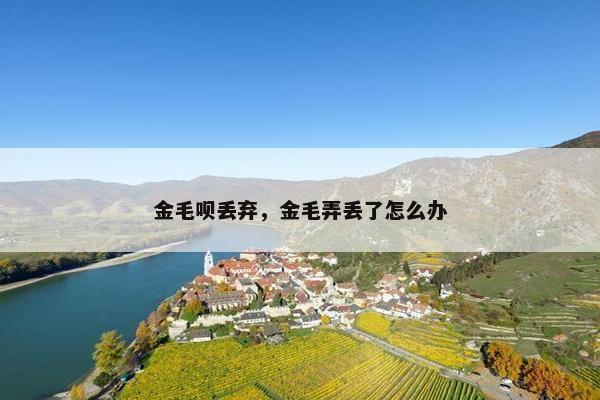 金毛呗丢弃，金毛弄丢了怎么办