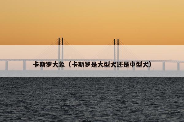 卡斯罗大象（卡斯罗是大型犬还是中型犬）