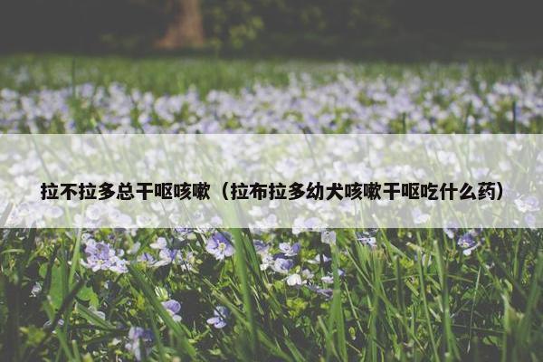 拉不拉多总干呕咳嗽（拉布拉多幼犬咳嗽干呕吃什么药）