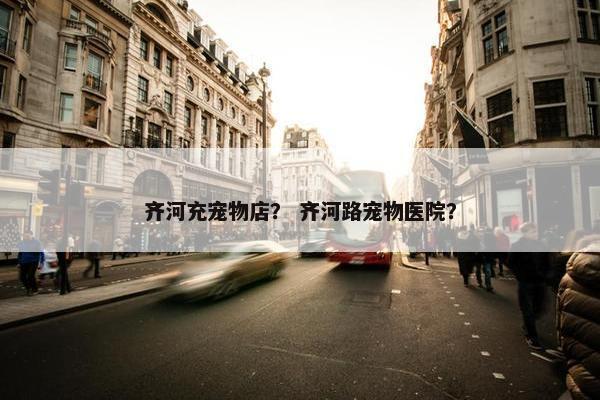 齐河充宠物店？ 齐河路宠物医院？