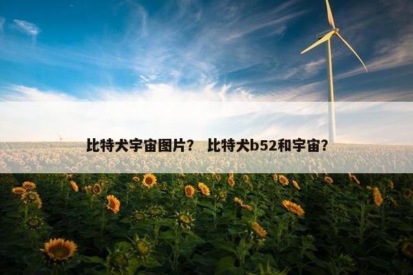 比特犬宇宙图片？ 比特犬b52和宇宙？