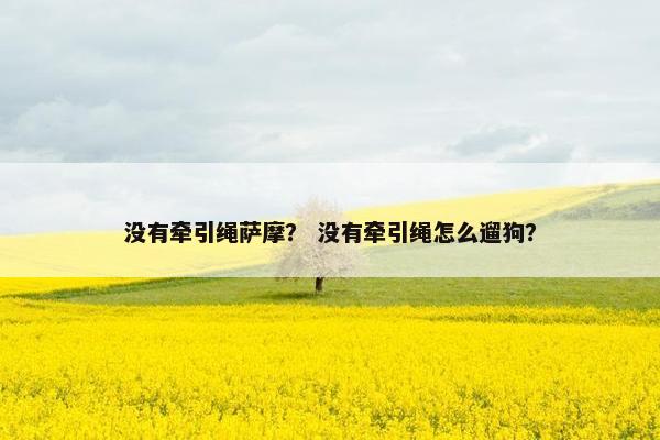 没有牵引绳萨摩? 没有牵引绳怎么遛狗? 没有牵引绳萨摩? 没有牵引绳怎么遛狗?