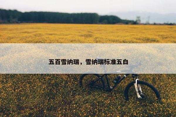 五百雪纳瑞，雪纳瑞标准五白