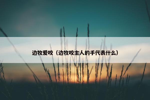 边牧爱咬（边牧咬主人的手代表什么）