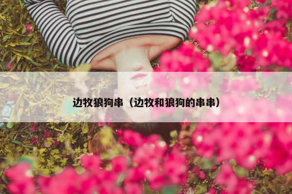 边牧狼狗串（边牧和狼狗的串串）