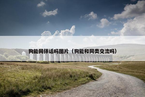 狗能同伴话吗图片（狗能和同类交流吗）