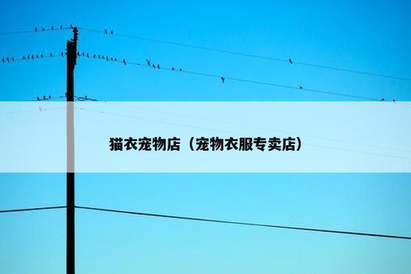 猫衣宠物店（宠物衣服专卖店）