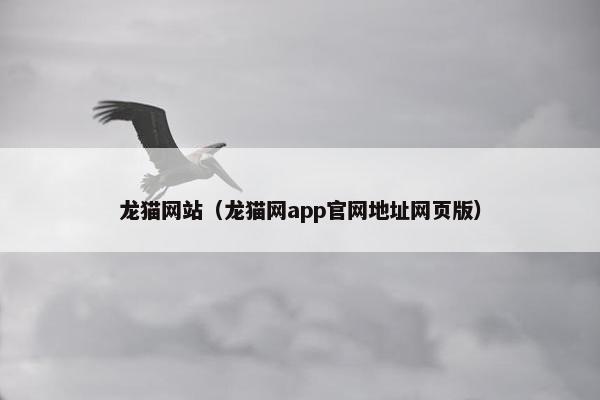 龙猫网站（龙猫网app官网地址网页版）