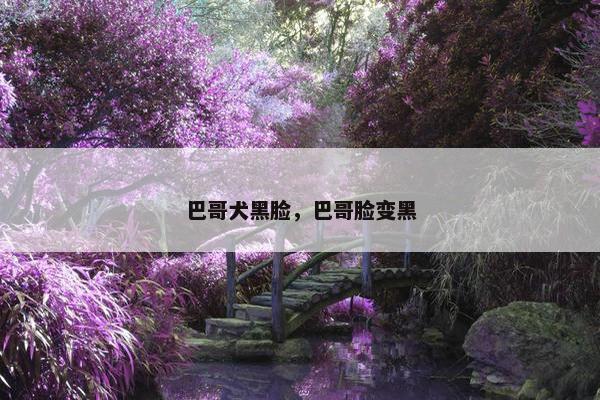 巴哥犬黑脸，巴哥脸变黑