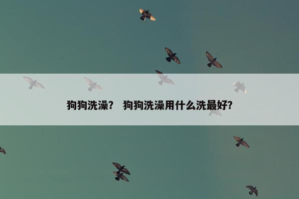狗狗洗澡？ 狗狗洗澡用什么洗最好？