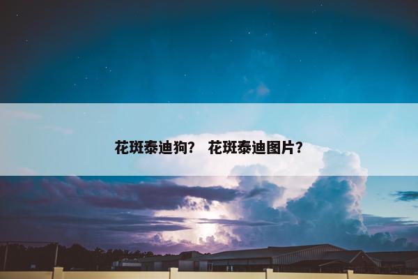 花斑泰迪狗？ 花斑泰迪图片？