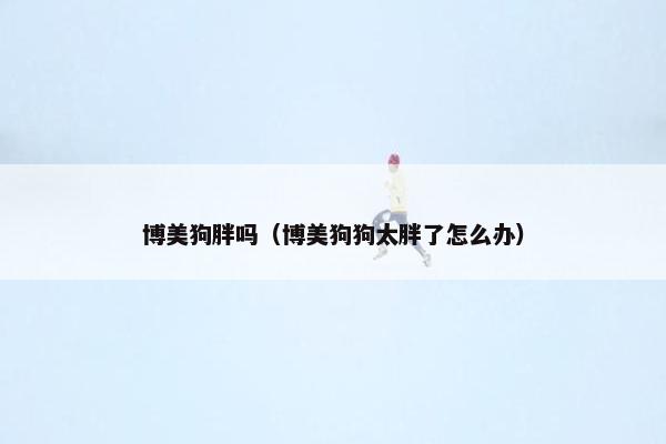 博美狗胖吗（博美狗狗太胖了怎么办）
