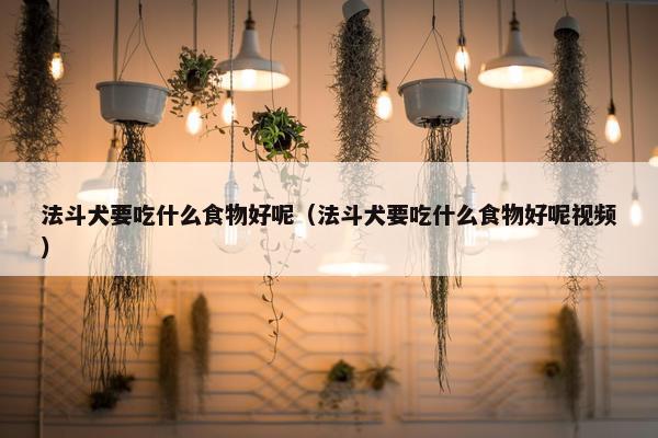 法斗犬要吃什么食物好呢（法斗犬要吃什么食物好呢视频）