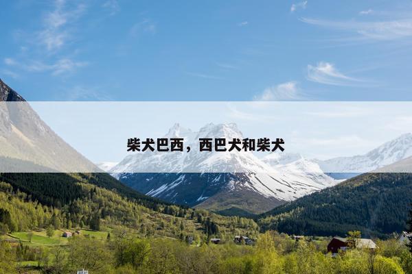 柴犬巴西，西巴犬和柴犬