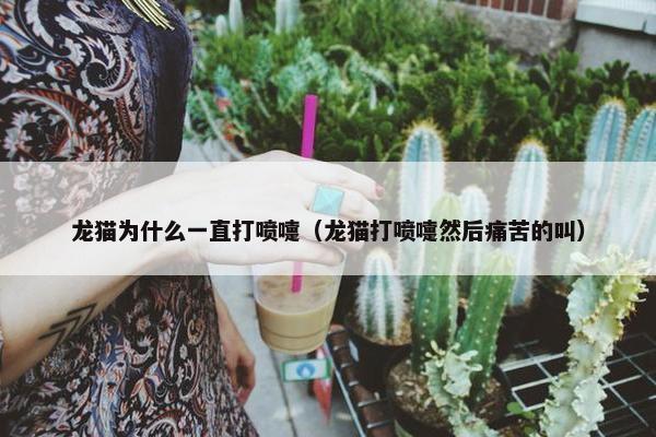 龙猫为什么一直打喷嚏（龙猫打喷嚏然后痛苦的叫）
