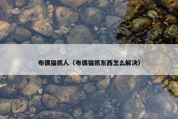 布偶猫抓人（布偶猫抓东西怎么解决）