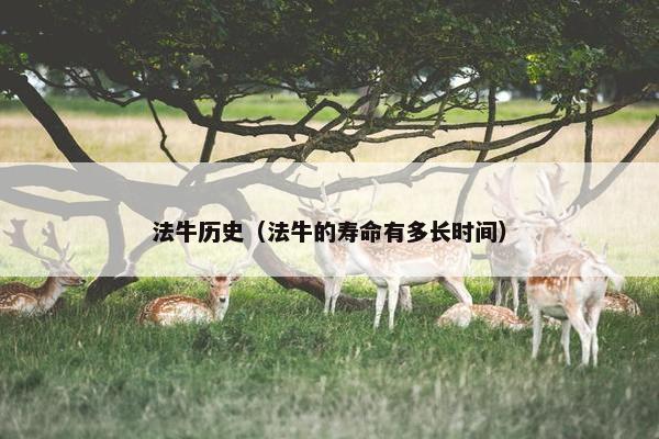 法牛历史（法牛的寿命有多长时间）