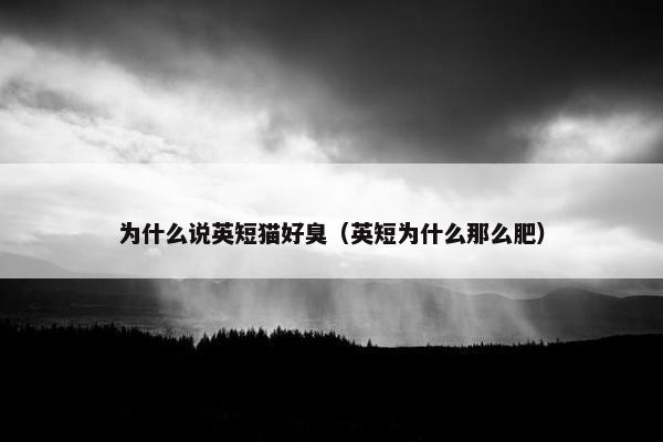 为什么说英短猫好臭（英短为什么那么肥）