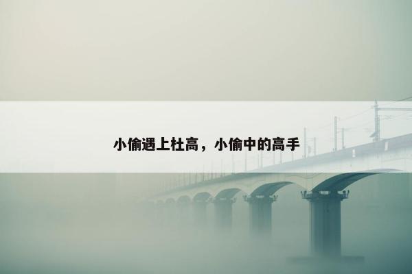 小偷遇上杜高,小偷中的高手 小偷遇上杜高,小偷中的高手