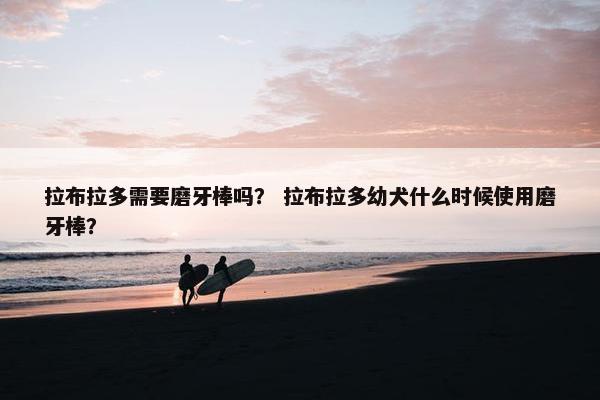 拉布拉多需要磨牙棒吗？ 拉布拉多幼犬什么时候使用磨牙棒？