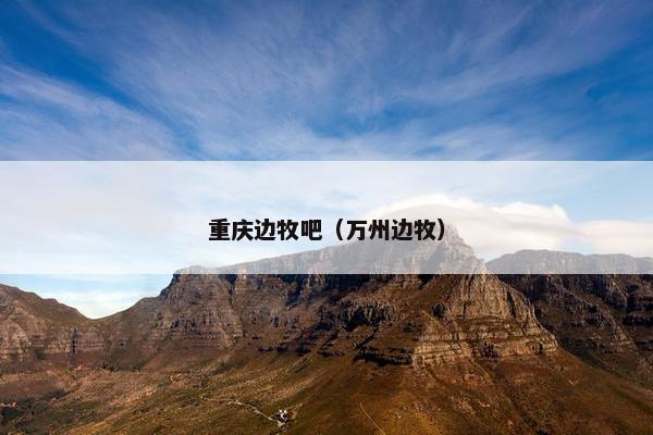 重庆边牧吧（万州边牧）