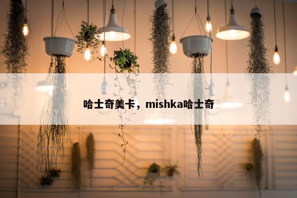 哈士奇美卡，mishka哈士奇