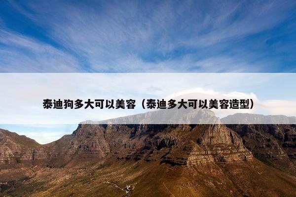 泰迪狗多大可以美容（泰迪多大可以美容造型）