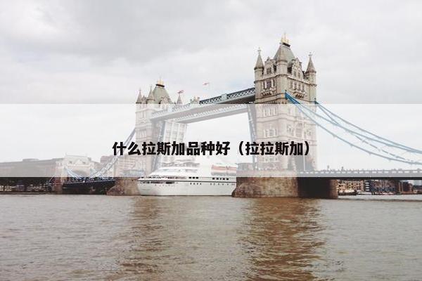 什么拉斯加品种好（拉拉斯加）