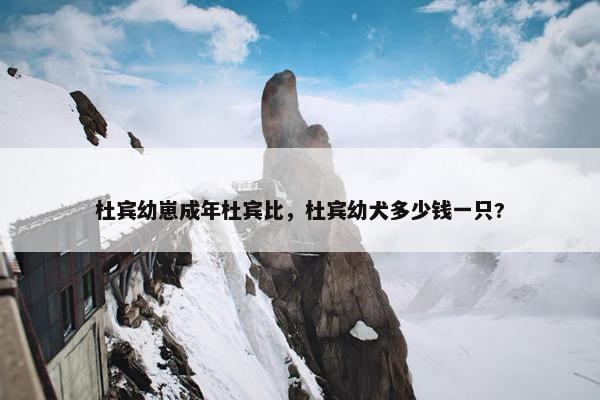 杜宾幼崽成年杜宾比，杜宾幼犬多少钱一只?