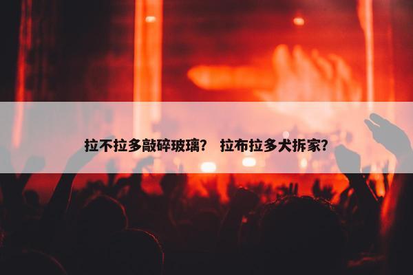 拉不拉多敲碎玻璃？ 拉布拉多犬拆家？