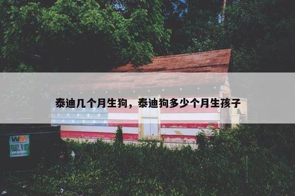 泰迪几个月生狗，泰迪狗多少个月生孩子