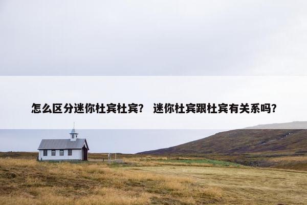 怎么区分迷你杜宾杜宾？ 迷你杜宾跟杜宾有关系吗？