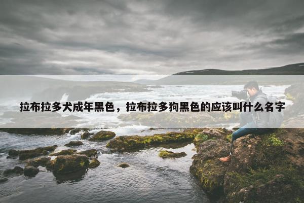 拉布拉多犬成年黑色，拉布拉多狗黑色的应该叫什么名字
