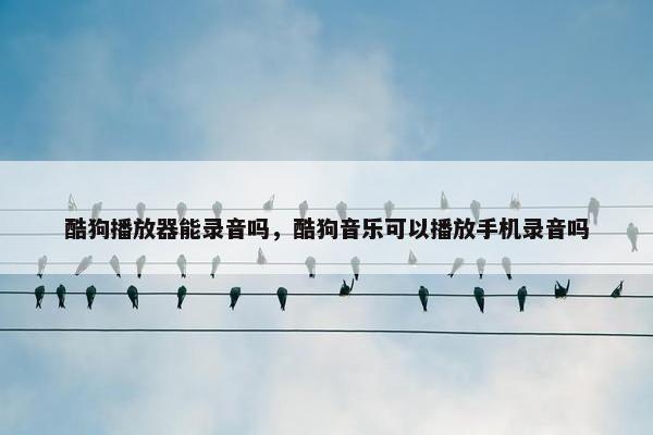 酷狗播放器能录音吗，酷狗音乐可以播放手机录音吗