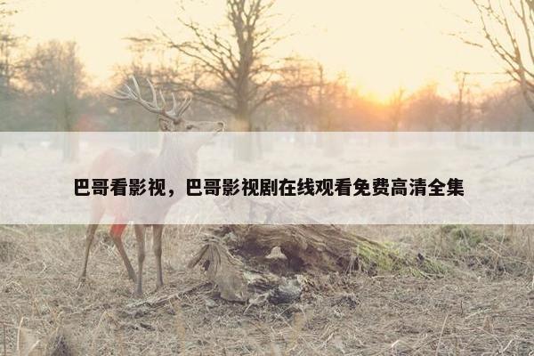 巴哥看影视，巴哥影视剧在线观看免费高清全集