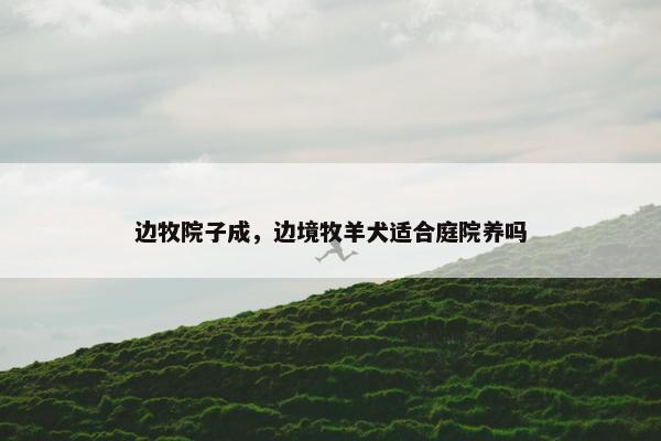 边牧院子成，边境牧羊犬适合庭院养吗