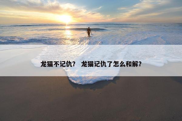 龙猫不记仇？ 龙猫记仇了怎么和解？