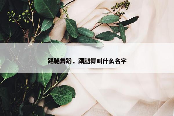 踢腿舞蹈，踢腿舞叫什么名字