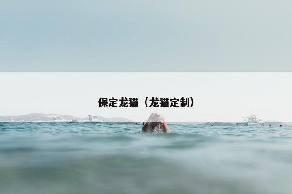 保定龙猫（龙猫定制）