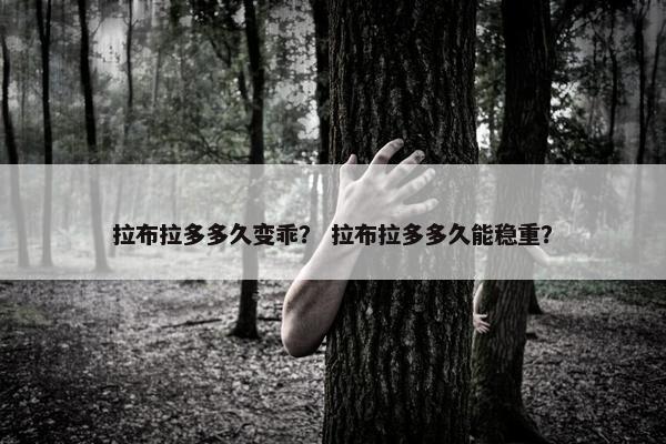 拉布拉多多久变乖？ 拉布拉多多久能稳重？