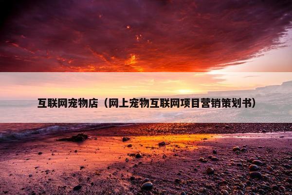 互联网宠物店（网上宠物互联网项目营销策划书）
