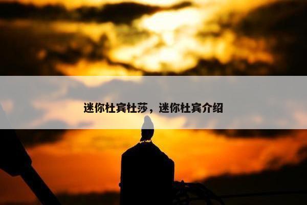 迷你杜宾杜莎，迷你杜宾介绍