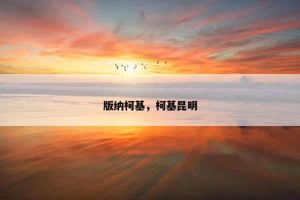 版纳柯基，柯基昆明