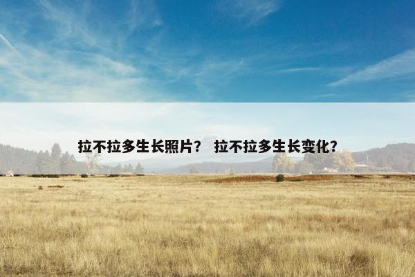 拉不拉多生长照片？ 拉不拉多生长变化？