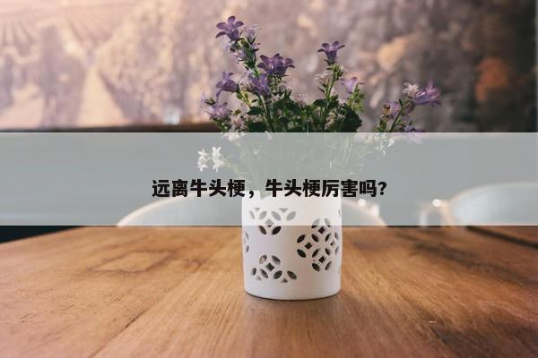 远离牛头梗，牛头梗厉害吗?