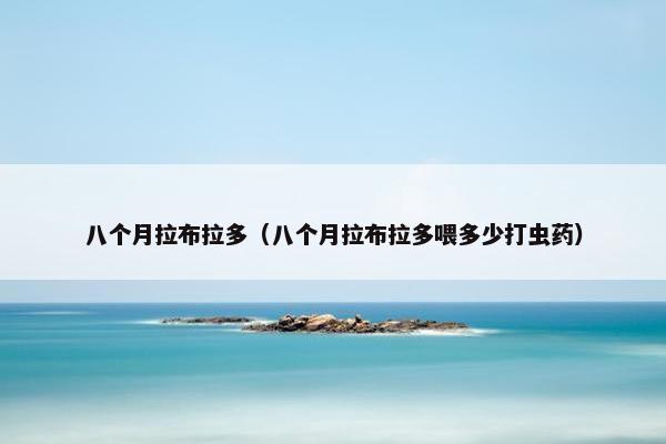 八个月拉布拉多（八个月拉布拉多喂多少打虫药）