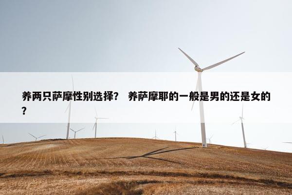 养两只萨摩性别选择？ 养萨摩耶的一般是男的还是女的？