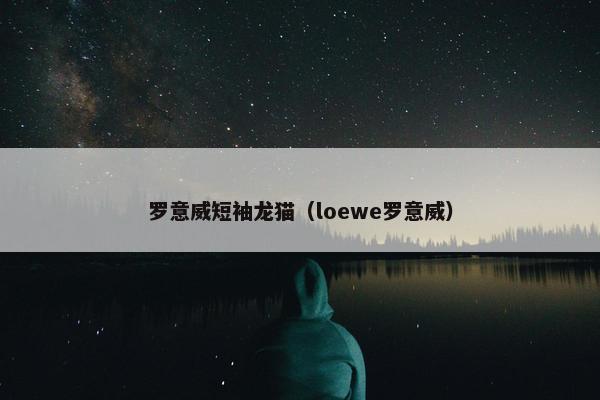 罗意威短袖龙猫（loewe罗意威）