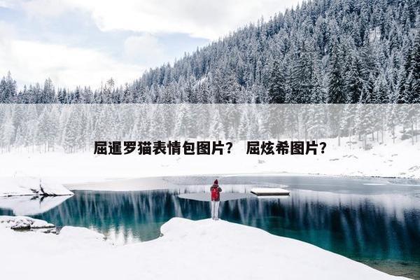 屈暹罗猫表情包图片？ 屈炫希图片？